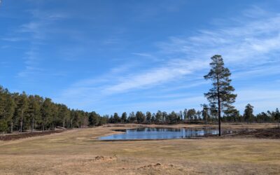 Städdagar på Golfbanan 25-26 april!